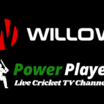 Willow-Cricket-HD