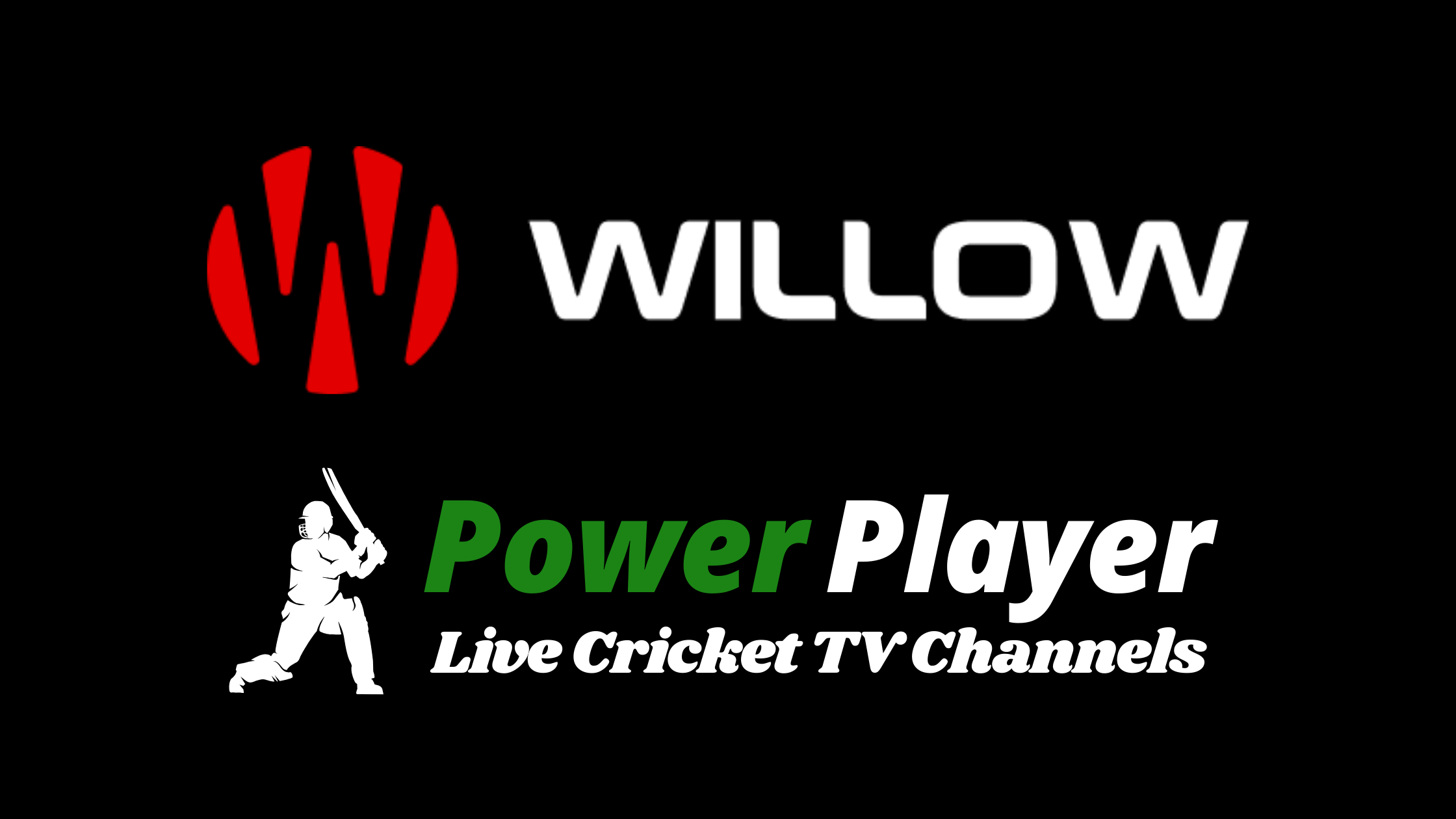 Willow-Cricket-HD